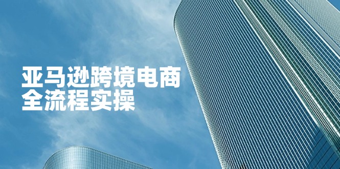 (14252期)亚马逊跨境电商全流程实操,教你从零开始,掌握店铺运营与广告技巧-亮剑学堂