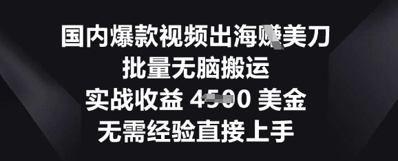 国内爆款视频出海挣美刀,批量无脑搬运,实战收益4.5k,无需经验直接上手-亮剑学堂